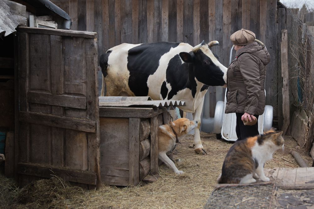 Photograph by Инна Юдина