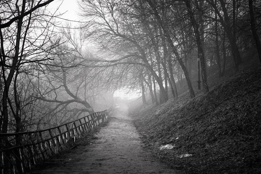 Photograph by Евгений Григорьев