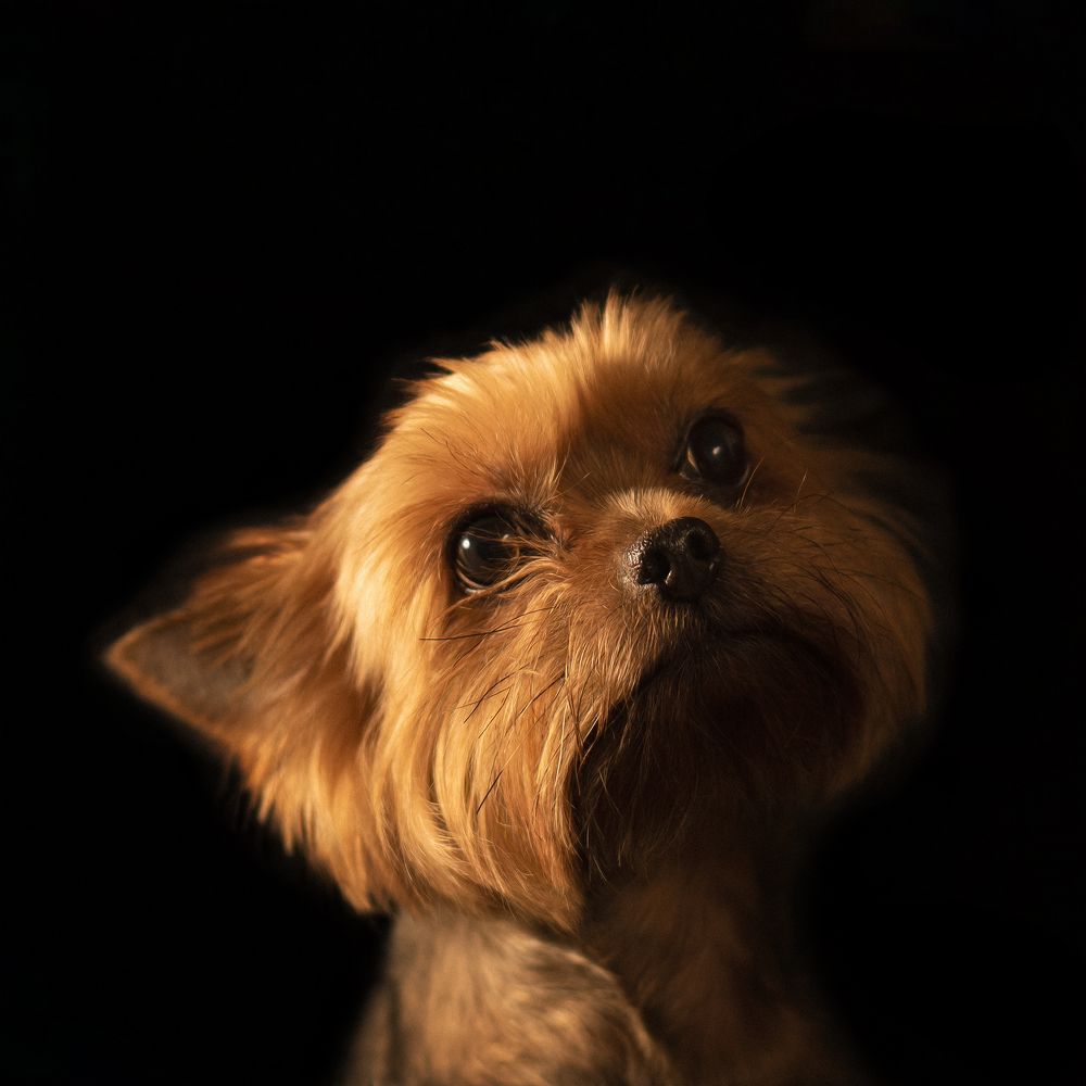 Photograph by Татьяна Полякова