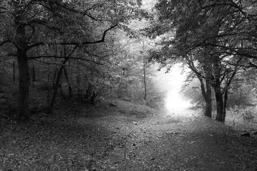 Photograph by Светлана