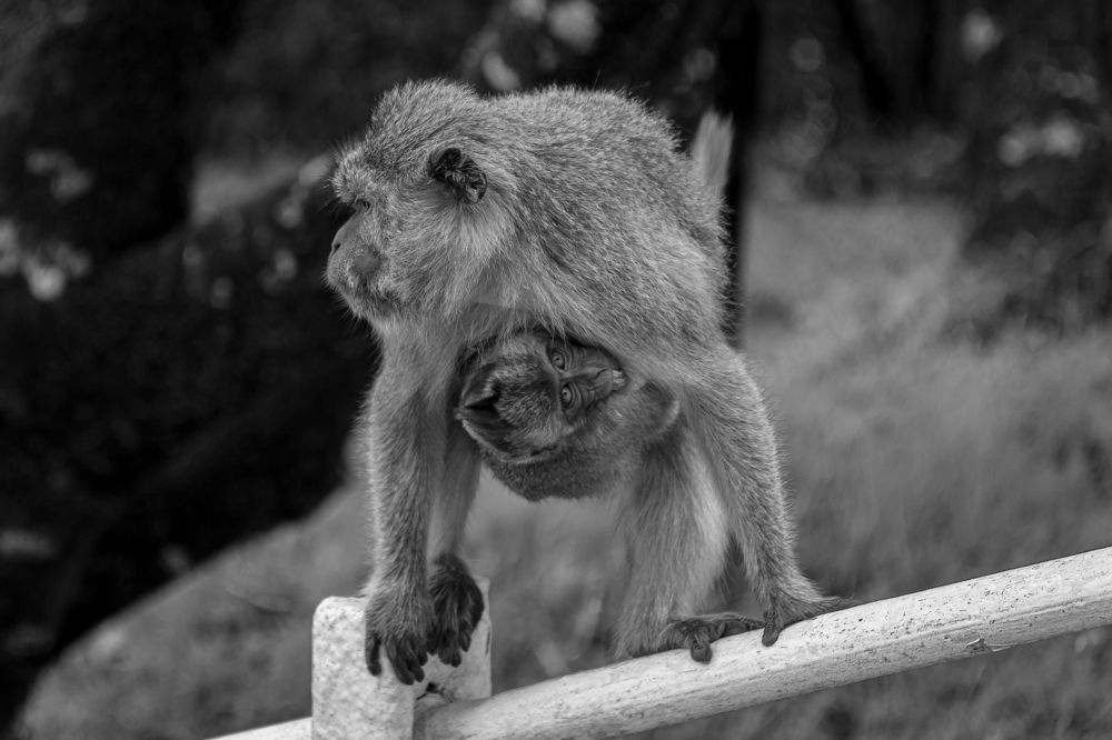 Photograph by Наталья Кокорина