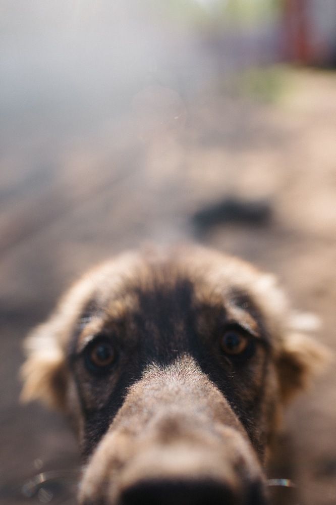 Photograph by Екатерина Герасимова