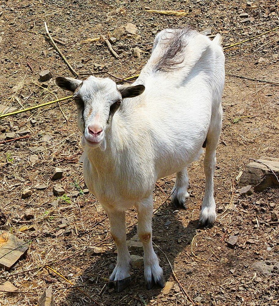 Фотография автора АЛЕКСАНДР ЦЫГЕЛЬНЮК