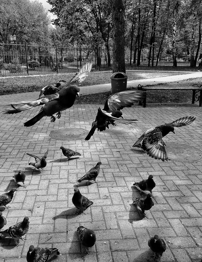 Photograph by Ольга Мартьянова