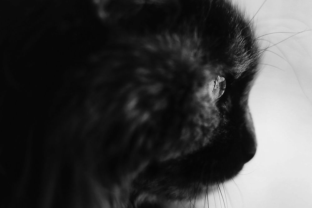 Photograph by Зубков Вадим