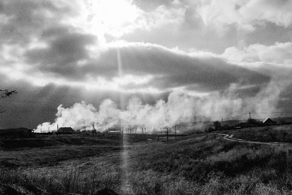 Photograph by Елена Николаева