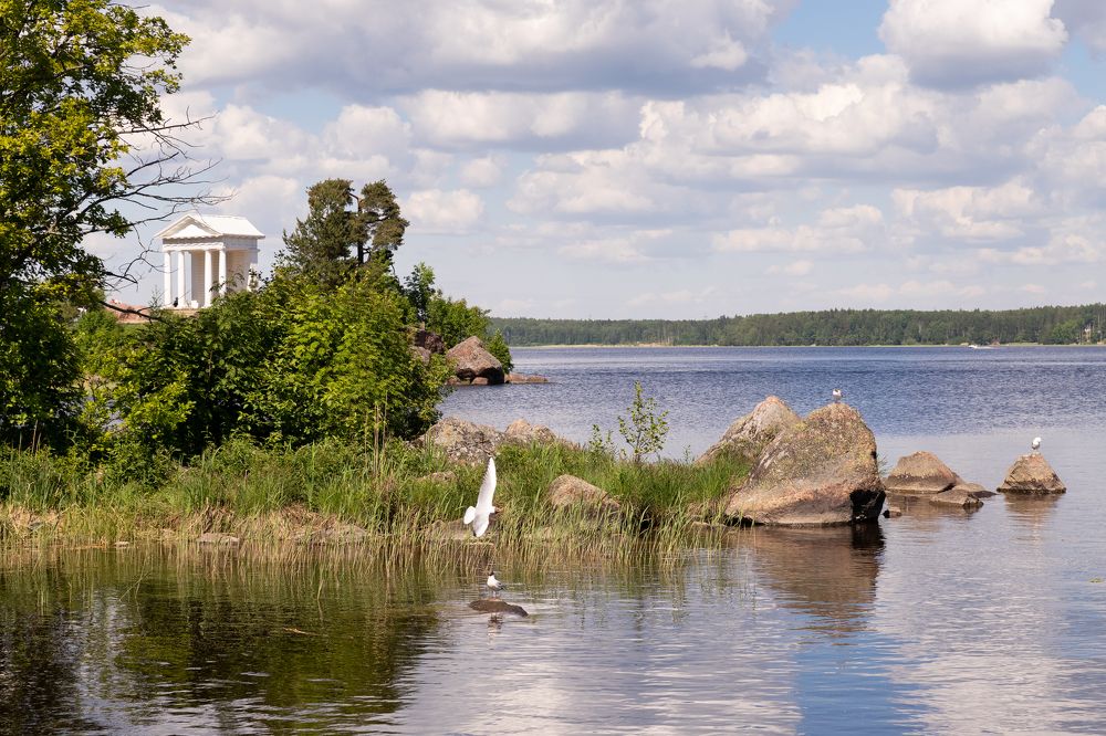 Photograph by Елена Клементенок