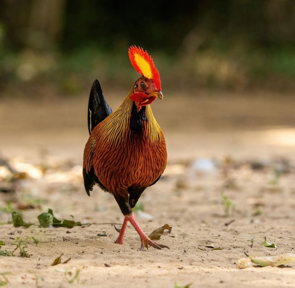 Photograph by Yuganthan Nallusamy