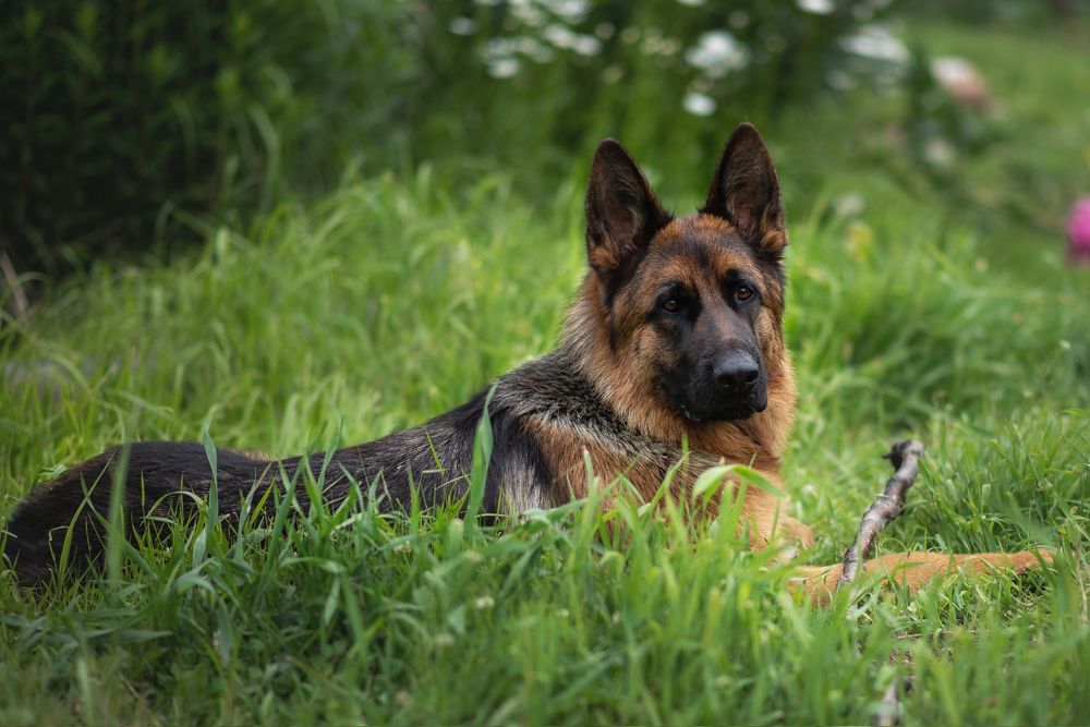 Photograph by Ольга Гайдарова