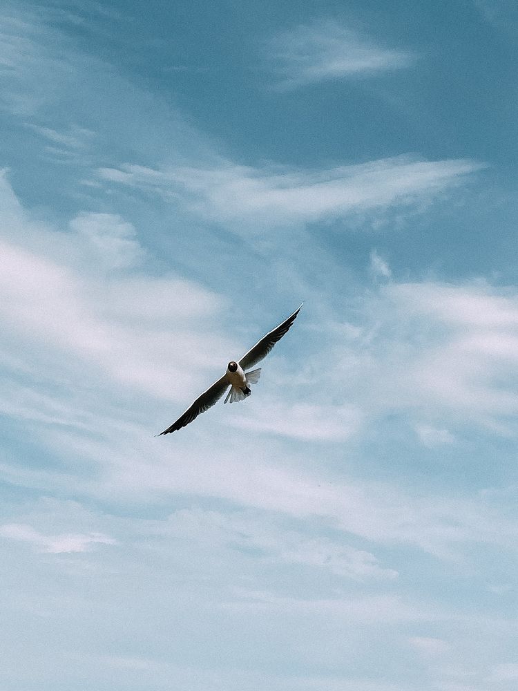 Photograph by Дмитрий Дятлов