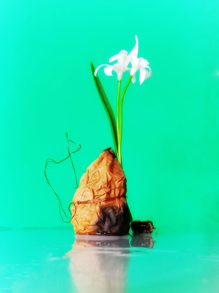 Photograph by Margarita