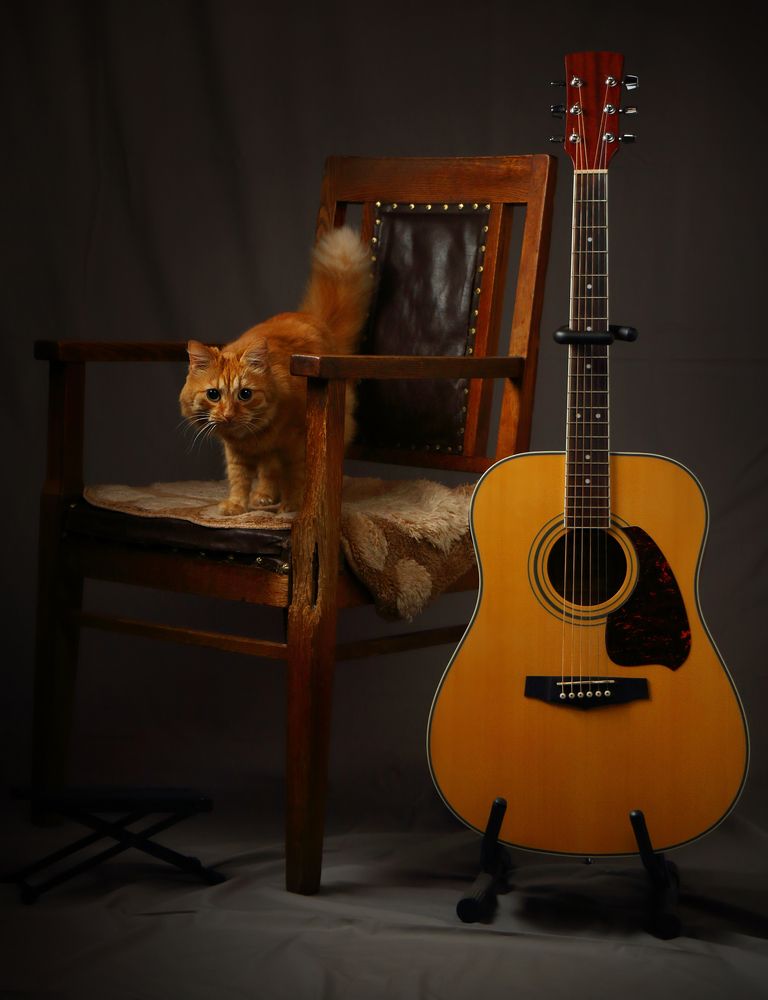 Photograph by Игорь Парсаданов