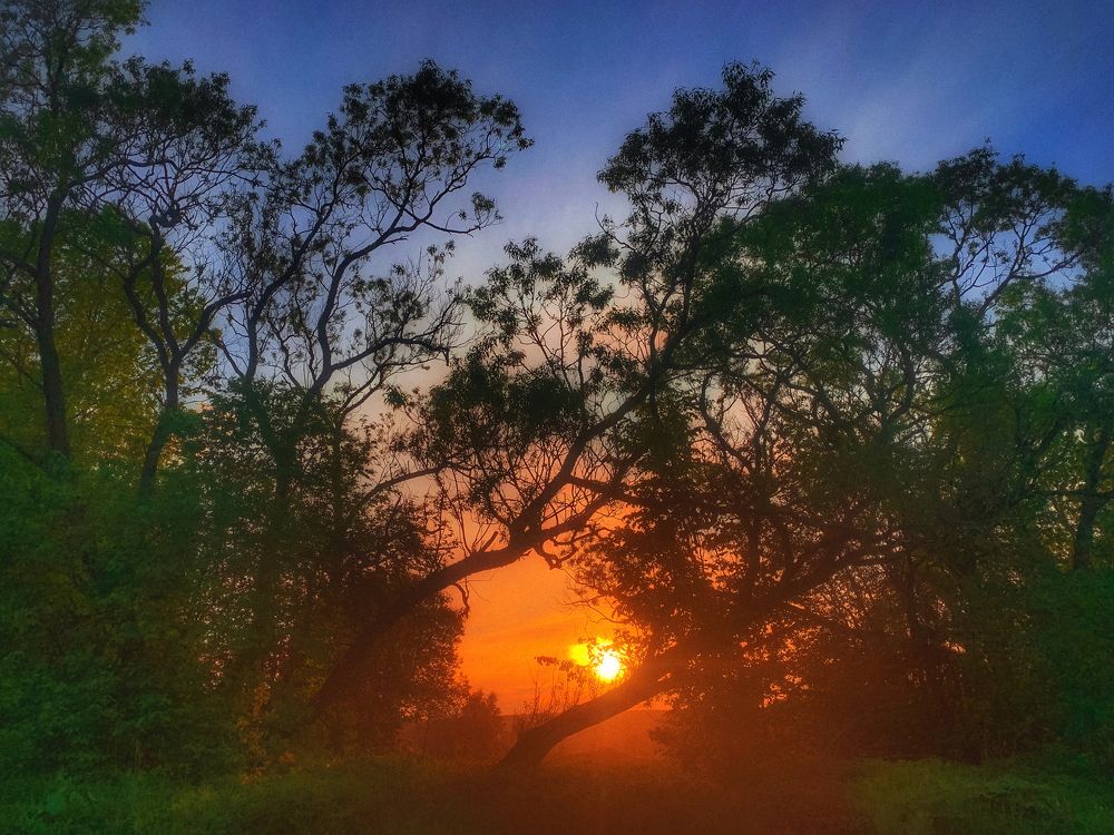 Photograph by Юлия Чиклеева