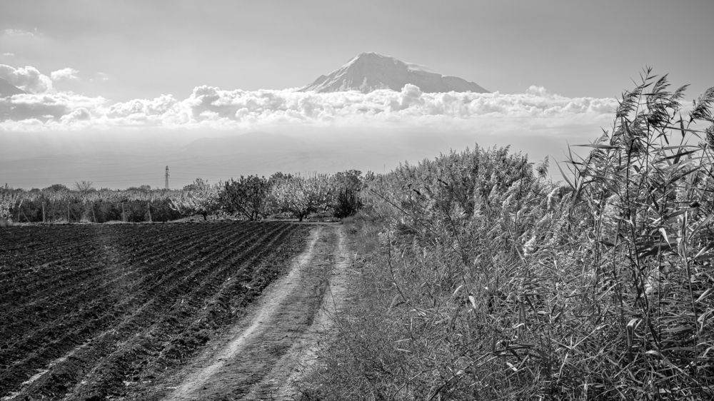 Photograph by Наталья Кокорина