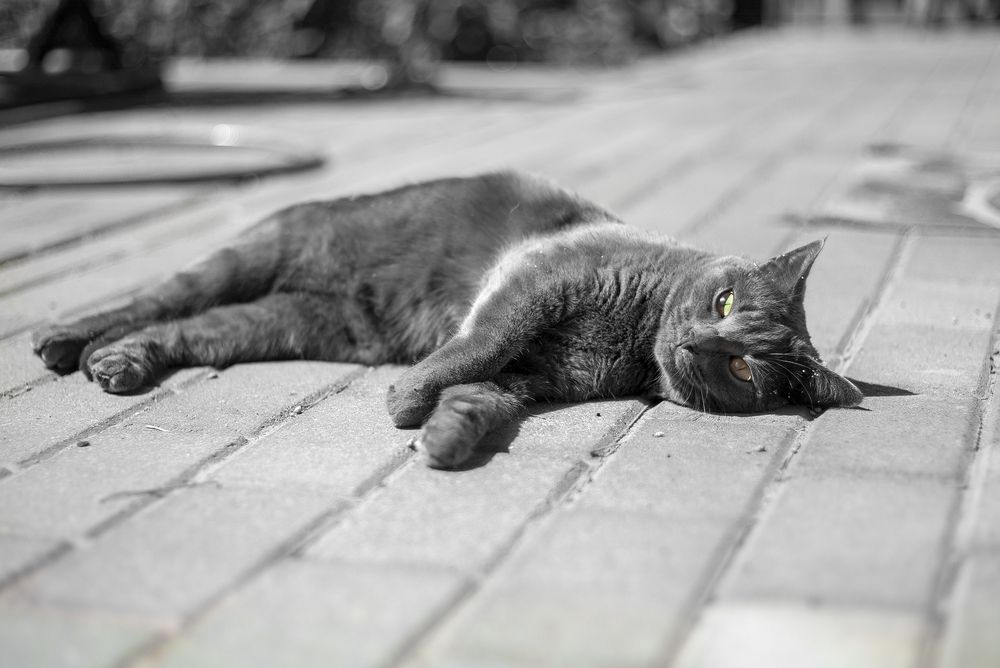 Photograph by Денис Сидоров