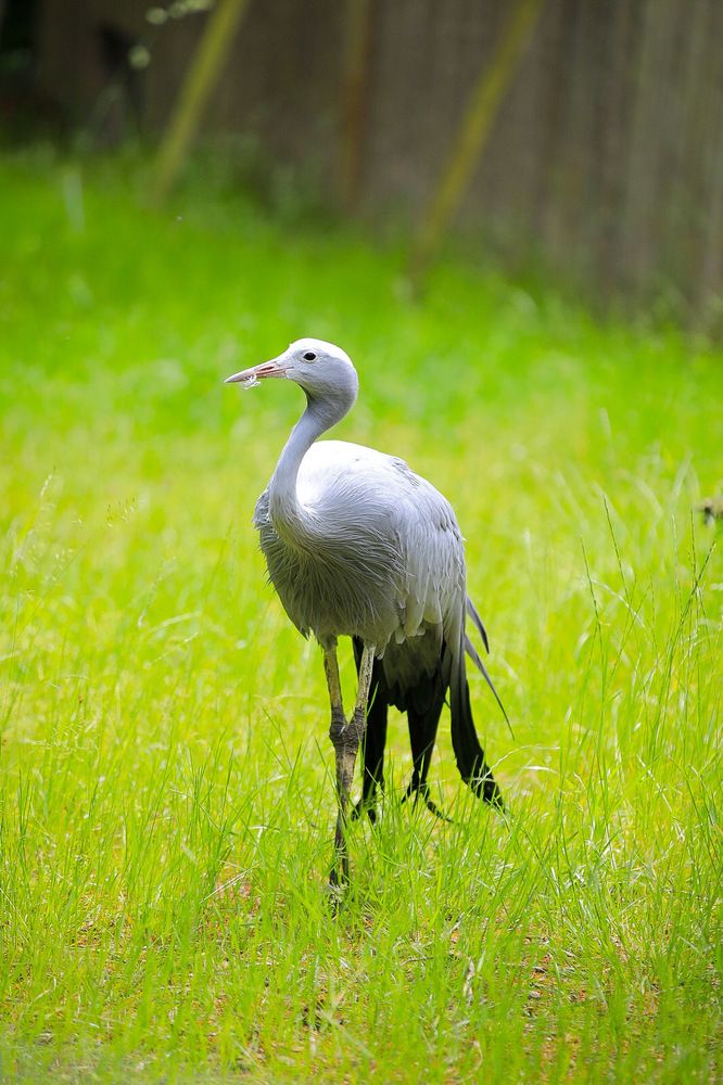 Photograph by Ирина Подгорная