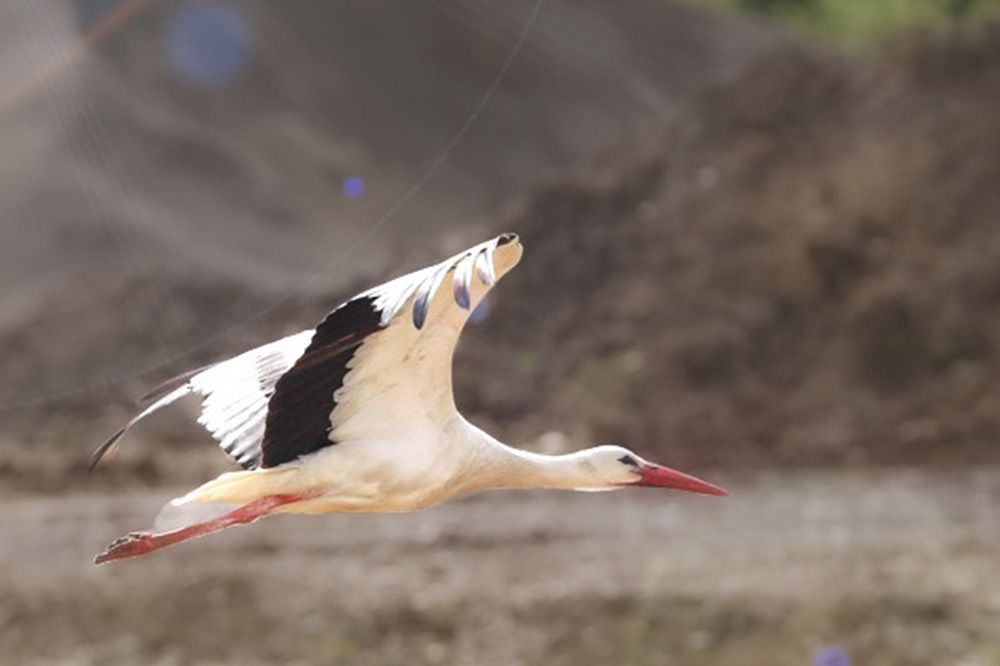 Photograph by Ирина Подгорная