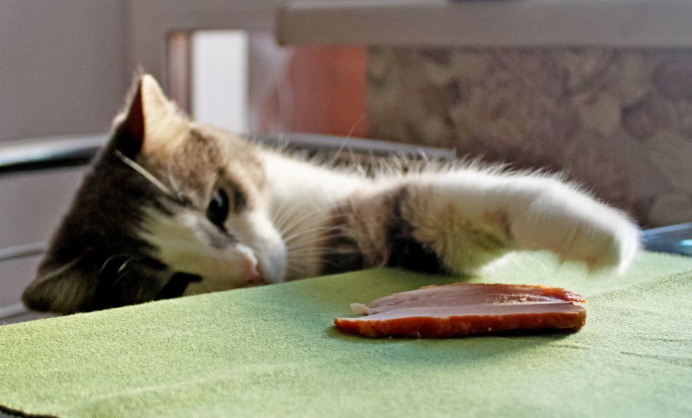 Photograph by Марина Ильева