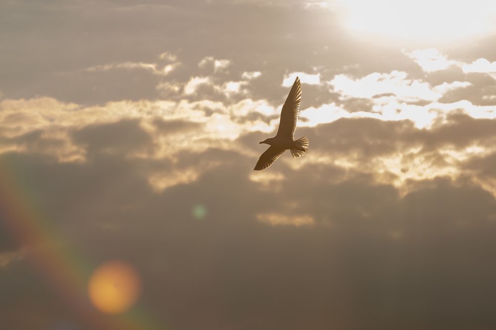 Photograph by Наталья Катюжанская