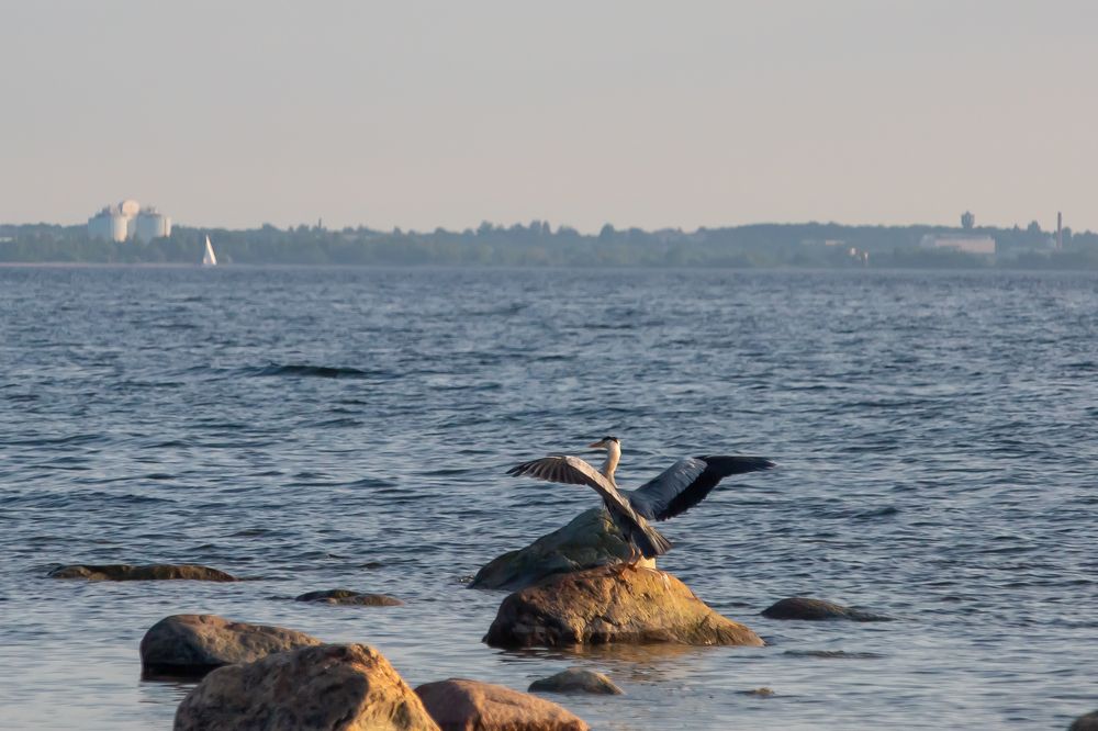 Photograph by Наталья Катюжанская