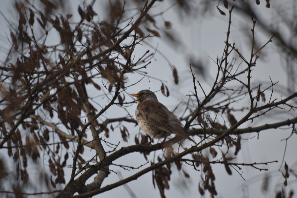Фотография автора Tkachev Aleksey