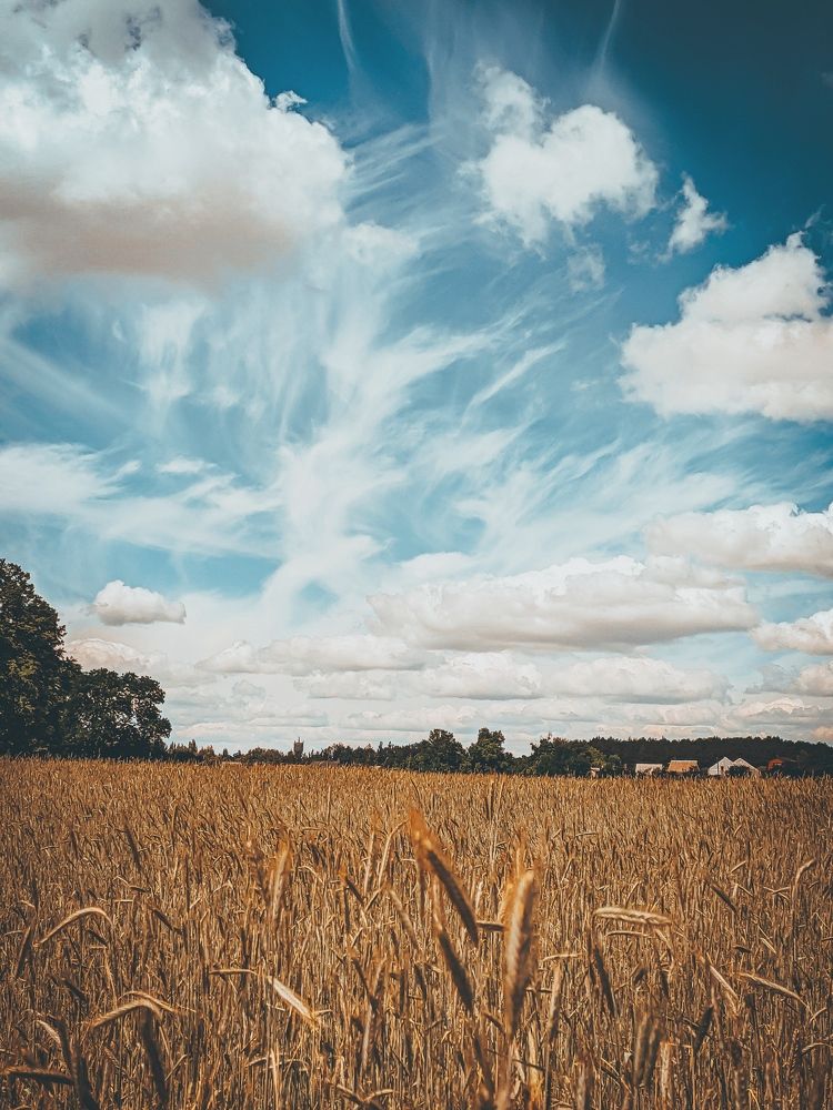 Фотография автора Kristina Nesteruk