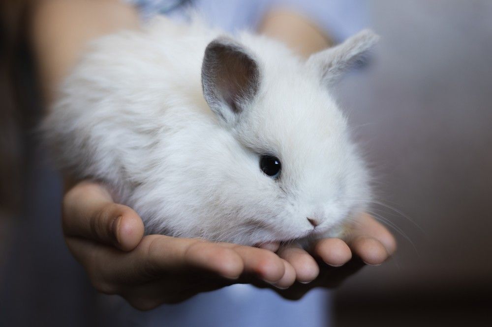 Photograph by Юлия Гольцман