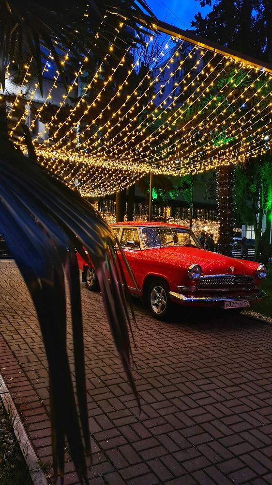 Photograph by Александра Мозаляускас