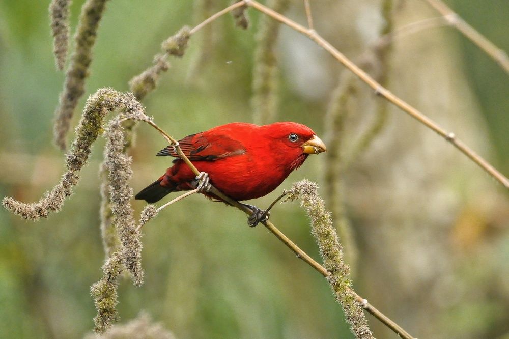 Photograph by Sujoy Chanda