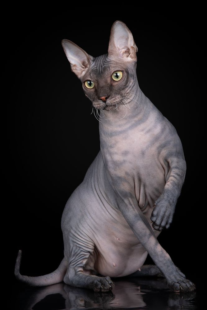 Photograph by Светлана Федоренко