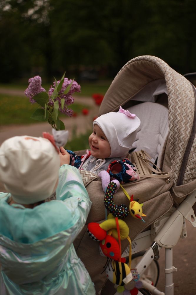 Photograph by Сергей Корнешов