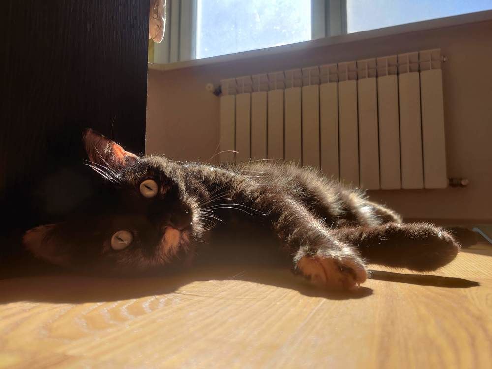 Фотография автора Марина Карасева