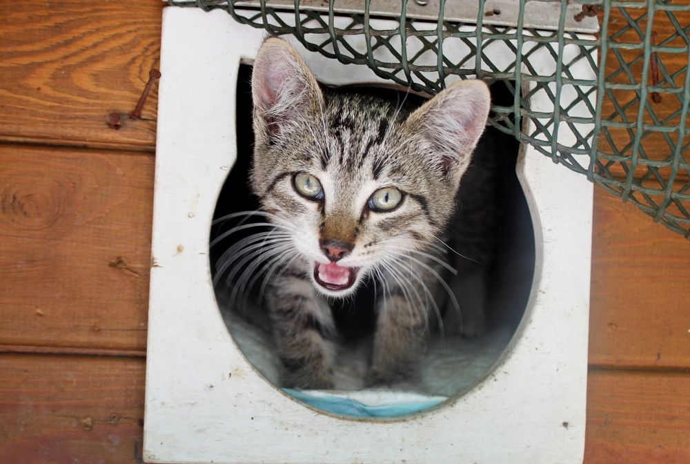 Photograph by Марина Ильева