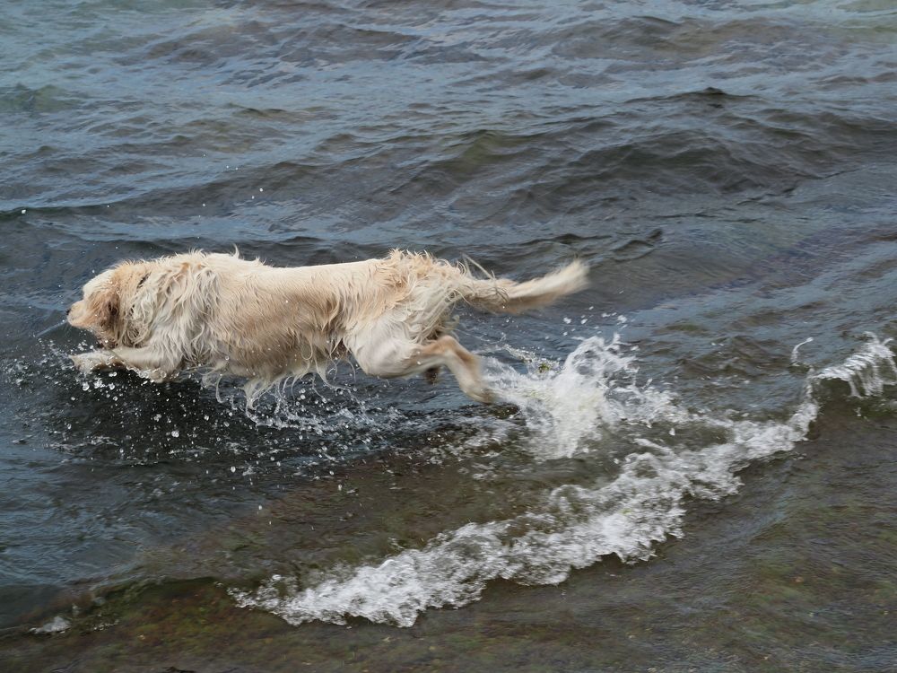 Photograph by Сергей Борисов