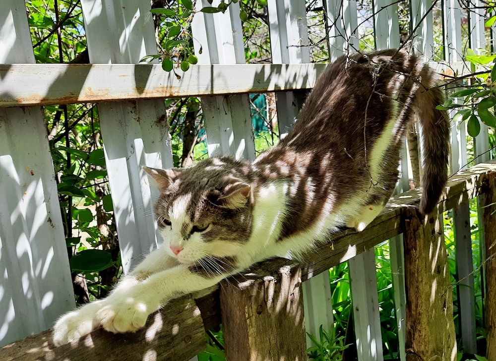 Photograph by Марина Ильева