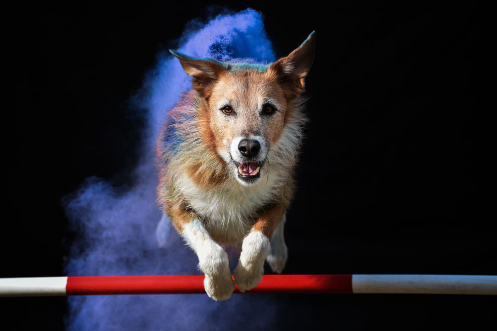 Photograph by leticia pascual garcia