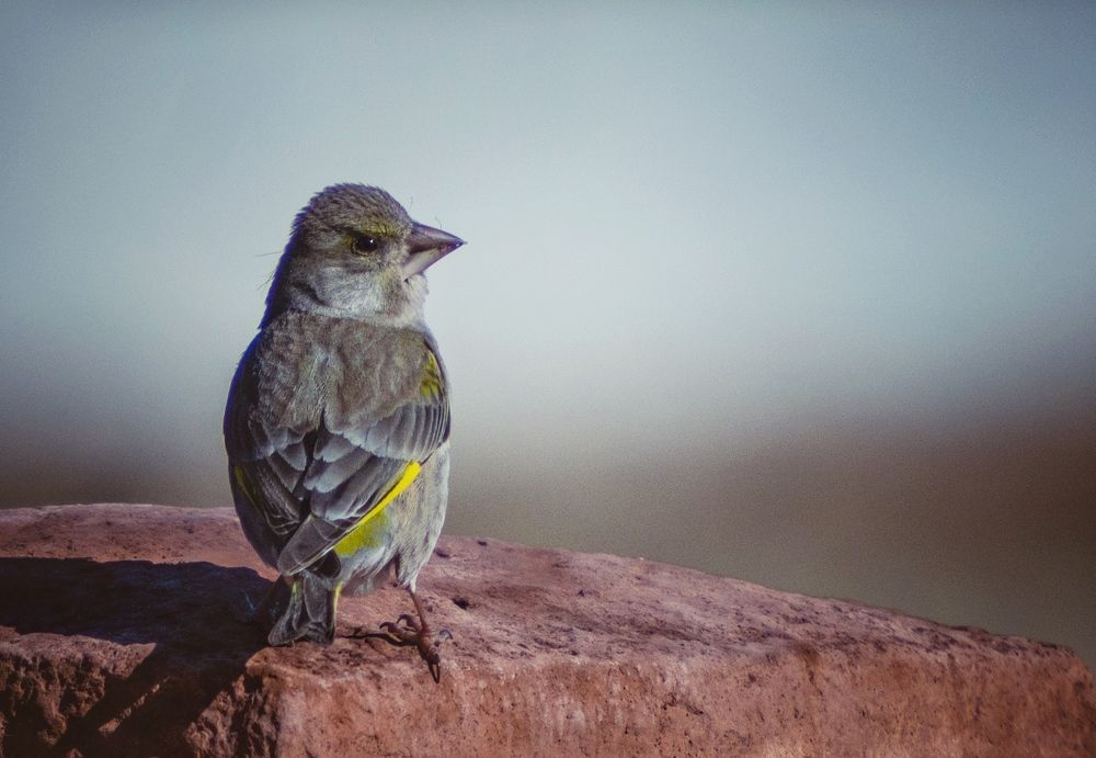 Photograph by Эдуард Ибрагимов