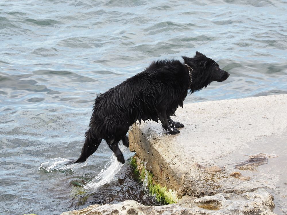 Photograph by Сергей Борисов