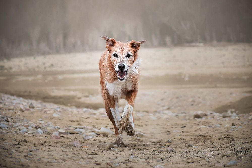 Photograph by leticia pascual garcia