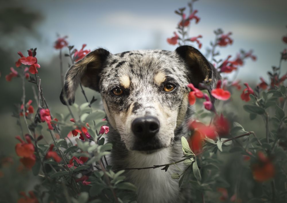 Photograph by leticia pascual garcia