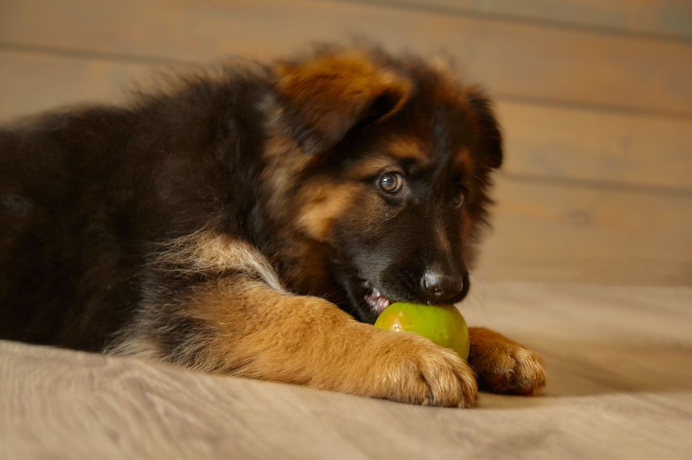 Photograph by Булатов Дмитрий