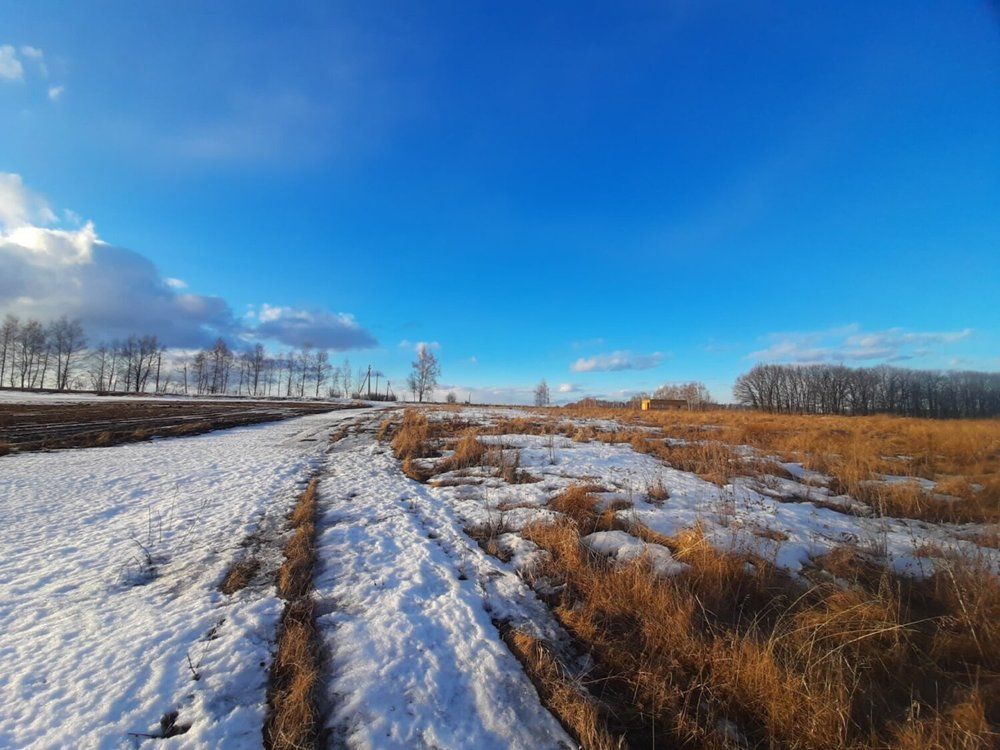 Photograph by Елизавета Карюченко
