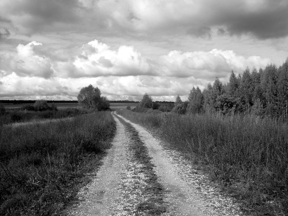 Photograph by Глеб Кузьминых