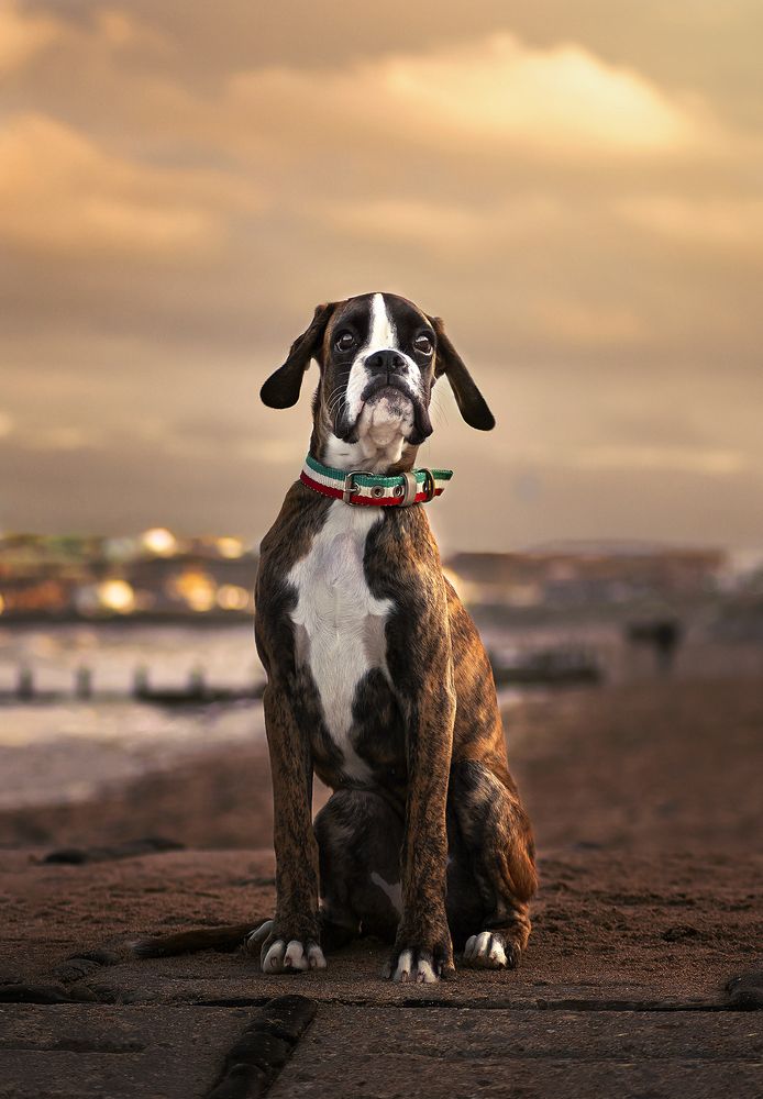 Photograph by Agnes Veres