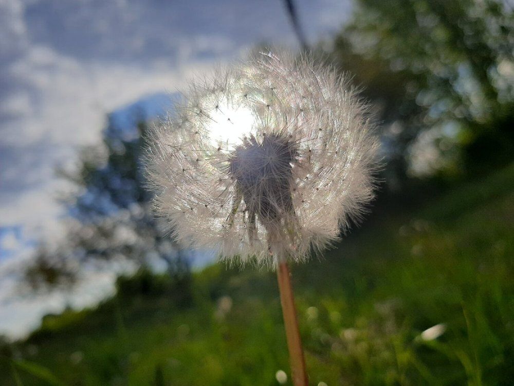 Photograph by Елизавета Карюченко