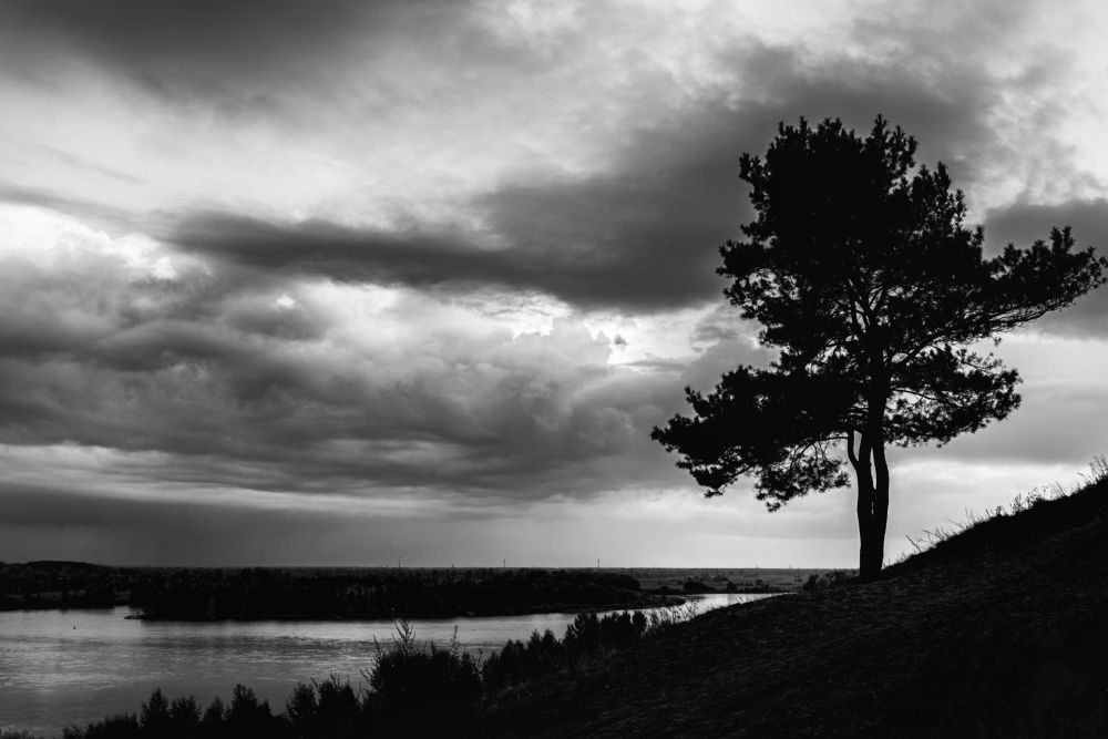 Фотография автора Владимир Зубков