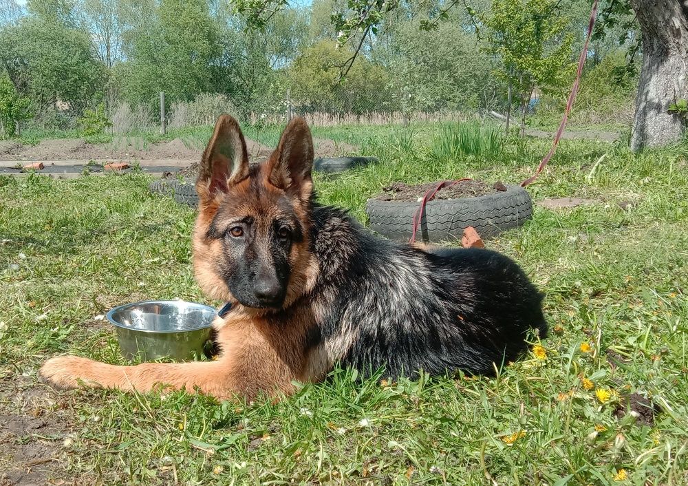 Photograph by Глеб Кузьминых