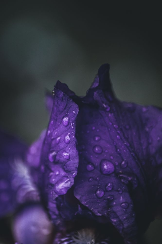 Photograph by Антон Хаткевич