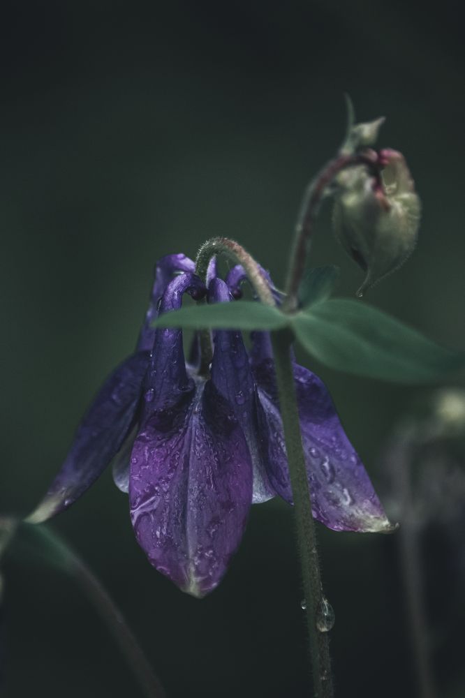 Photograph by Антон Хаткевич