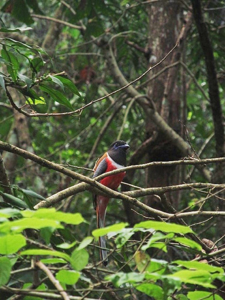 Photograph by Sai Pixels